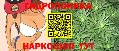 spice Будённовск