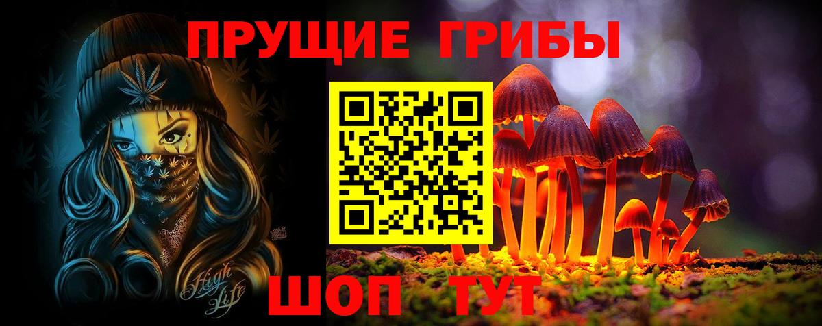 Псилоцибиновые грибы Psilocybine cubensis  Вход с VPN  Муравленко 